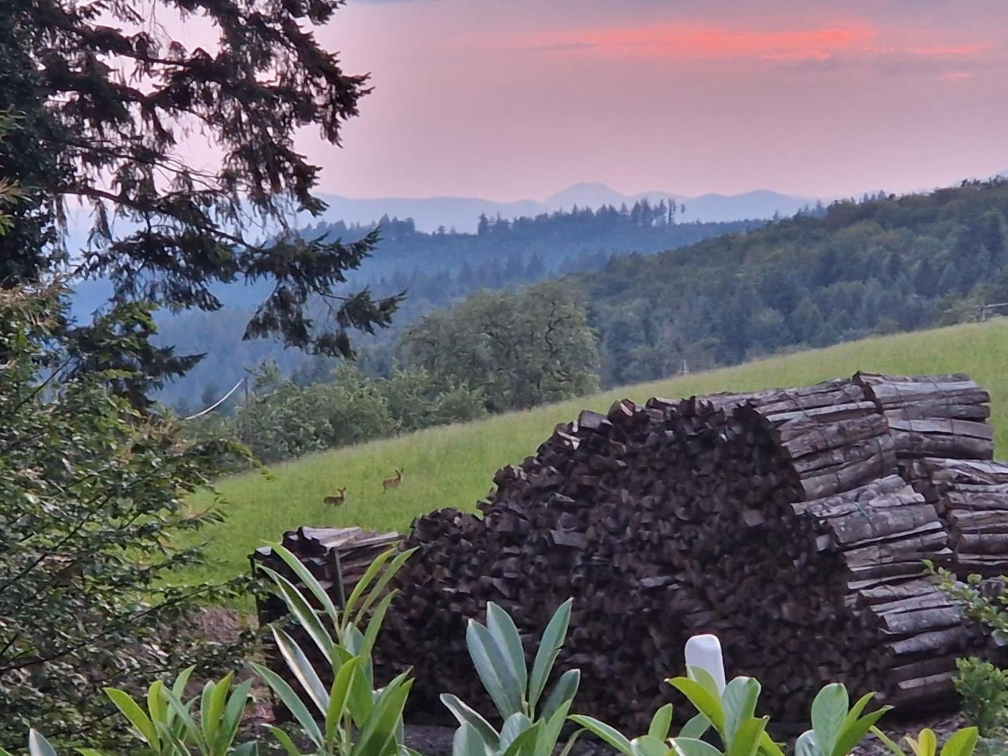 Ferien Im Schwarzwald Freiamt Hotel Exterior foto