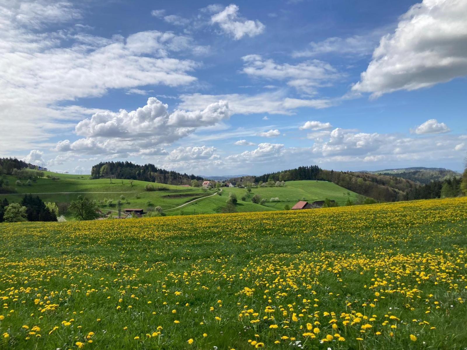 Ferien Im Schwarzwald Freiamt Hotel Exterior foto