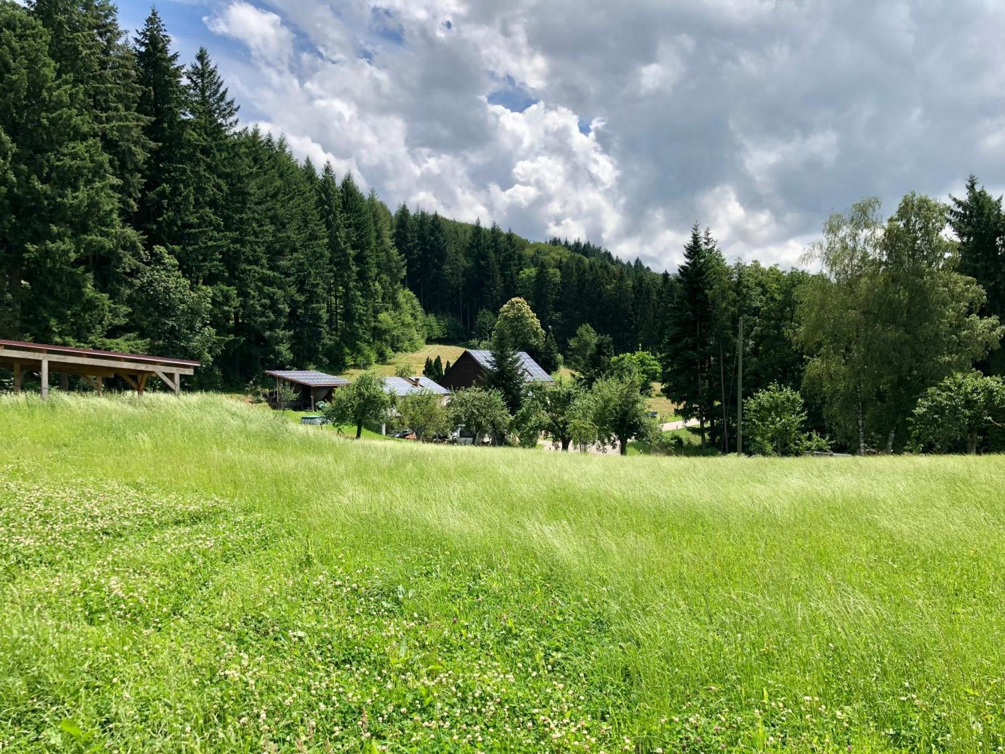 Ferien Im Schwarzwald Freiamt Hotel Exterior foto