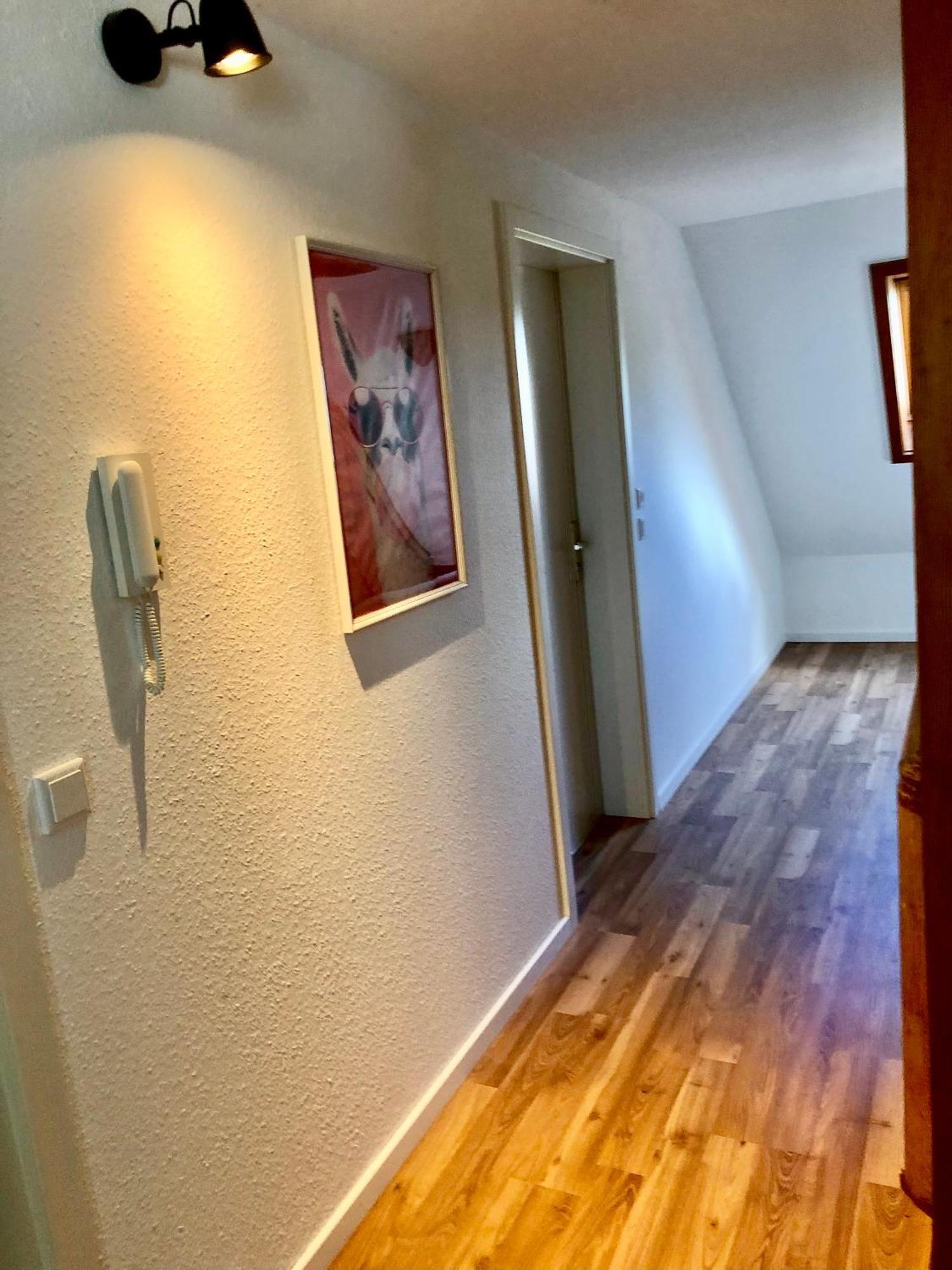 Ferien Im Schwarzwald Freiamt Hotel Exterior foto